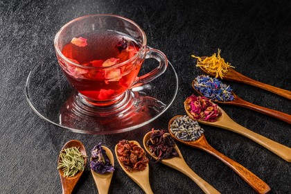 サンプルテキスト