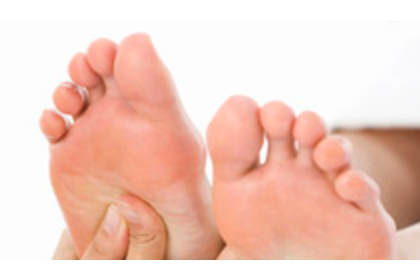 サンプルテキスト